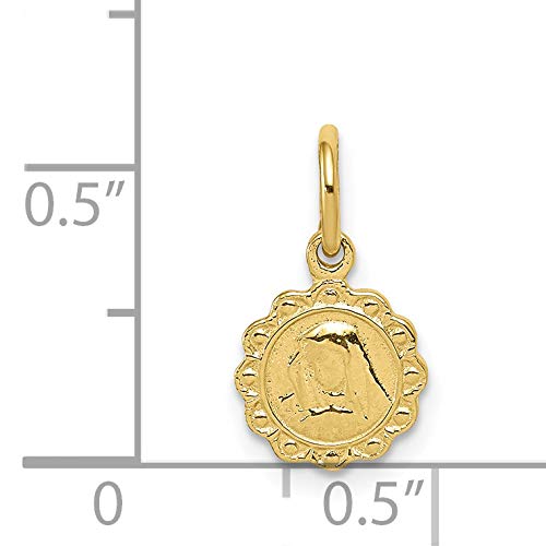 10k Yellow Gold Solid Satin Polished Our Lady of Sorrows Disc Pendant