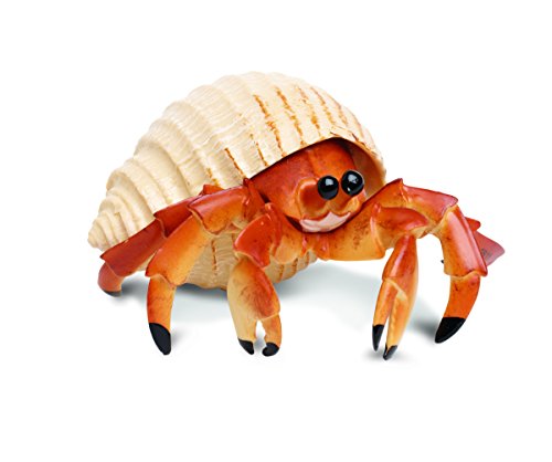 Safari Ltd  Incredible Creatures Hermit Crab