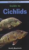 Pocket Professional Guide to Cichlids by David E. Boruchowitz