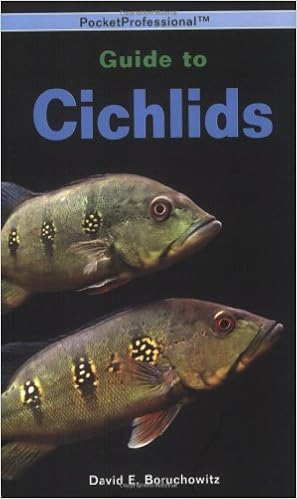 Pocket Professional Guide to Cichlids, by David E. Boruchowitz