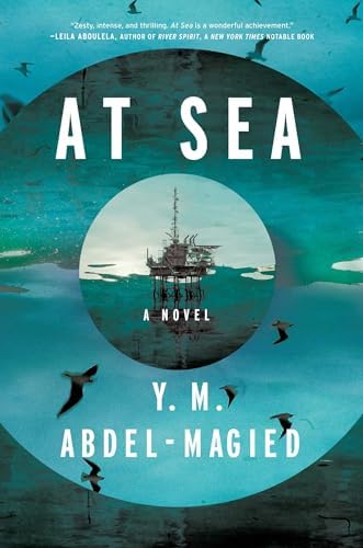 Shining Sea: Korkeakivi, Anne: 9780316307864: Amazon.com: Books