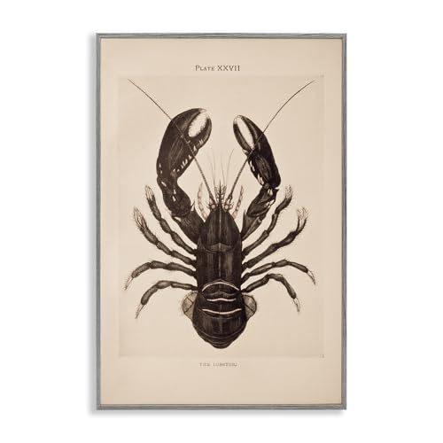 'Vintage Detail Lobster'| Framed Giclee Art