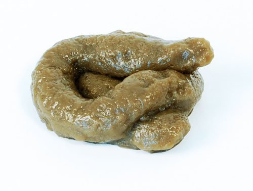 Fake Dog Poo Sticky Realistic Novelty Joke Turd Toy Practical Joke Fancy Dress by Home & Leisure Online