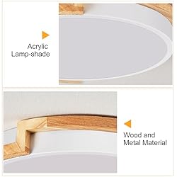 Peblto Modern LED Ceiling Light, Round Shape Flush