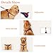 ARIKON Dog Leash Harness, Adjustable and Heavy Duty Durable Denim Dog Leash Collar for Training Walking Running, Best for Large Medium Small Dog