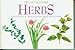 Herbs (Little Guides) by