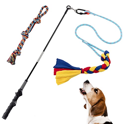 Flirt Pole Für Hunde - Interaktives Jagdspielzeug Für Draußen