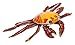 Safari Ltd. Incredible Creatures Collection - Galapagos Sally Lightfoot Crab Figure - Ages 3 and Up
