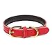 Aolove Basic Classic Padded Leather Pet Collars for Cats Puppy Small Medium Dogs (Red, X-Small)