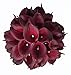 FRP Flowers 20 PCS Real Touch Calla Lily Latex Flowers for Artificial Floral Arrangements, Bridal Bouquets, and Home Decor (Burgundy Wine)