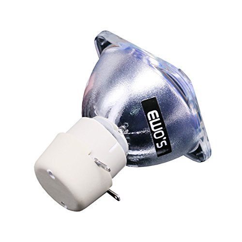 EWO'S BL-FU195C Projector Bare Lamp Bulb for Optoma HD142X HD27 HD25-LV HD25 hd131xe HD66 GT760 Lamp Bulb Replacement