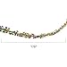 JOYIN 5PCS Mardi Gras Party Decoration with 1 PCS Fringe Curtain, 3 PCS Table Skirt and 1 PCS Garland Pack Mardi Gras Party Favor Supplies