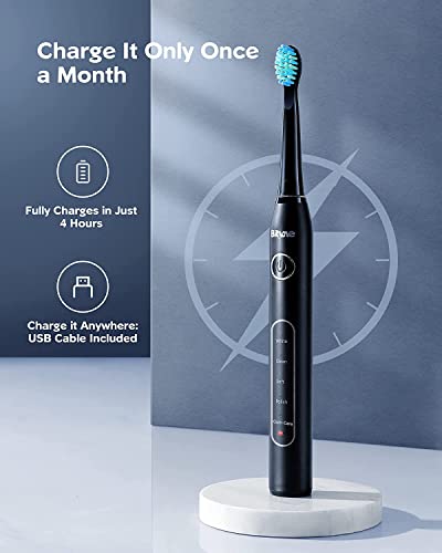 Bitvae Electric Toothbrush with 8 Brush Heads , 5 Modes Sonic Electric Toothbrush with Toothbrush Holder for Adults , Travel Rechargeable Power Toothbrush with Timer , Ultrasonic Toothbrush