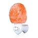 Wuudi Natural Himalayan Salt Lamp, Mini Hand Carved Crystal Salt Light (Natural-Shaped)