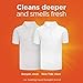Tide Liquid Laundry Detergent, Clean Breeze, 96 Loads 150 fl oz (Packaging May Vary)