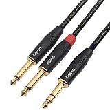 TISINO 1/4 inch TRS Stereo to Dual 1/4 inch TS Mono Insert Cable Y-Splitter Stereo Breakout Cable Patch Cord - 10 feet