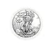 2020 American Silver Eagle .999 Fine Silver in Direct Fit Air Tite with our Certificate of Authenticity Dollar Uncirculated US Mint