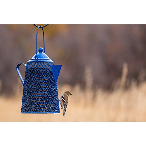 Perky Pet CFE101 Coffee Pot Mesh Bird Seed Feeder Pricepulse