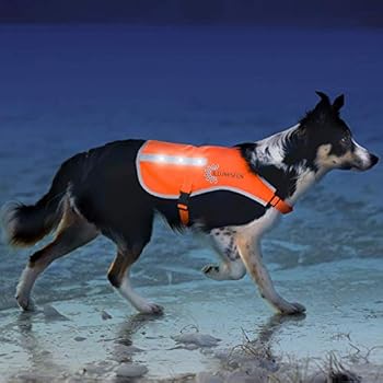 Illumiseen LED Dog Vest | Orange Safety Jacket with Reflective Strips & USB Rechargeable LED Lights | Increase Dog's Visibility When Walking, Running, Training Outdoors (X-Large, Orange)