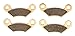 Race Driven Sintered Metal Severe Duty Front Brake Pads for Polaris