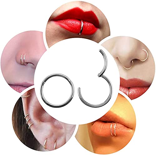 G23 Titanium Septum Ring Hinged Nose Rings for Women 16G Hoop Segment Rings Sleeper Earrings Body Piercing Jewelry Black/Silver/Gold/Rose Gold Rings, Diameter 6mm,8mm,10mm(6pcs) (Rose Gold)