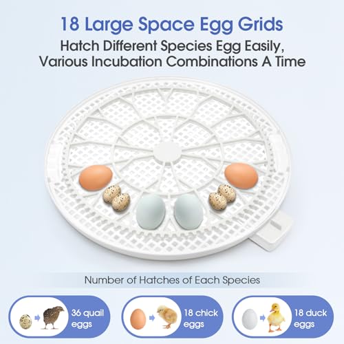 Sailnovo Incubadoras Para Incubar Huevos 35-56 Incubadora De Huevos Con Giro Automatico De Huevos Y Pantalla De Humedad De Control De Temperatura