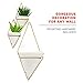 California Home Goods Large Decorative Geometric Hanging Planter Pot for Indoor Wall Decor, Planter for Succulent Plants, Air Plant, Cacti, Faux/Artificial Plants, White Ceramic/Brass