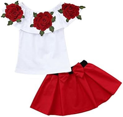 FeiliandaJJ Baby Girls Clothes Set, 2Pcs Kids Toddler Summer Cute Fashion Off Shoulder Embroidery Rose T-Shirt Tops and Solid Bowknot Shorts Skirt Outfit Set