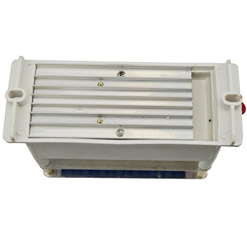 220V 10g Ozone Generator DIY with Ceramic Plate Long Life Style Double Sheet for Chemical Factory