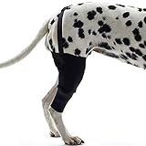 PLAFUETO Dog Knee Support Sleeve Dog Leg Brace Rear Dog Hock Support Heals Hock Joint Wrap Sleeve for Hind Leg - Pet Brace Heals and Prevent Injuries, Wound Healing, Loss of Stability from Arthritis