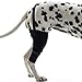PLAFUETO Dog Knee Support Sleeve Dog Leg Brace Rear Dog Hock Support Heals Hock Joint Wrap Sleeve for Hind Leg - Pet Brace Heals and Prevent Injuries, Wound Healing, Loss of Stability from Arthritis