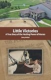 Little Victories: A True Story of the Healing Power of Horses by Betty Weibel
