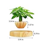 Creative Magnetic Levitating Air Bonsai Pot