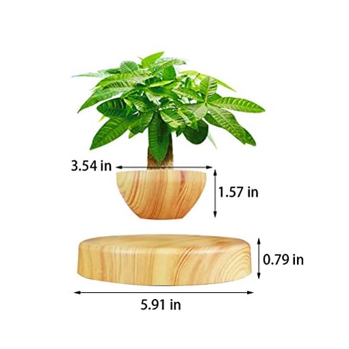 Creative Magnetic Levitating Air Bonsai Pot