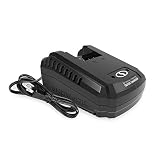 Snow Joe 24VCHRG-QC iON+ Quick Charge Dock for iBAT24 and 24VBAT Series Batteries