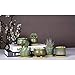 T4U Succulent Planter Pots Ceramic - Set of 6, Small Ceramic Succulent Pots Cactus Planters, Clay Pots with Drainage Window Boxes with Bamboo Tray, Green