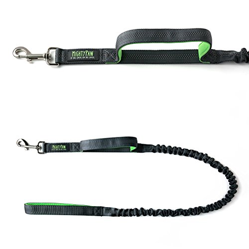 Mighty Paw Dual Handle Bungee Dog Leash, Premium Quality - Main Image