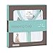 aden + anais sleeping bag, up up and away, M