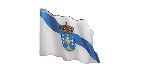 Durabol Iman de Nevera Resina Bandera Galicia : Amazon.es ...