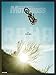 Transworld Motocross