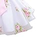 Weixinbuy Girls Dance Pageant Birthday Flower Printed Bowknot Sleeveless Dress