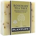 Plantlife Rosemary Tea Tree Bar Soap - Moisturizing and Soothing Soap for Your Skin - Hand Crafted Using Plant-Based Ingredients - Made in California 4oz Bar