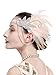 1920s Gatsby Flapper Feather Headband 20s Accessories Crystal Beaded Wedding Headpiece (1-Pink)