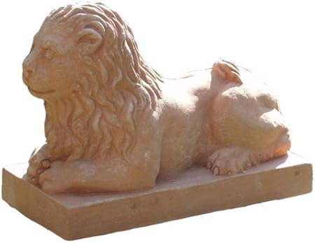 Löwe: Amazon.de: Küche & Haushalt