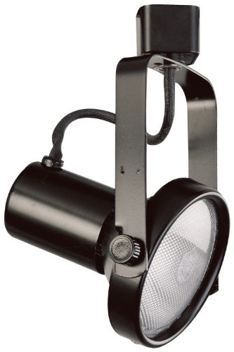 Elco Lighting ET630W Line Voltage PAR30 Gimbal Fixture with Barndoors