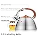Kaisa Villa Tea Kettle Stovetop Teapot Stainless Steel Whistling Teakettle with 3.5 L… (Stainless steel color)