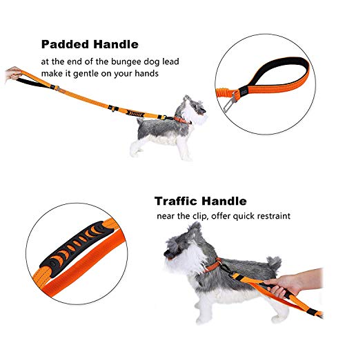 Heavy Duty Dog Leash Especially for Large Dogs Up to 150lbs, 6 Ft Reflective Dog Walking Training Shock Absorbing Bungee Leash with Car Seat Belt Buckle, 2 Padded Traffic Handle for Extra Control - Thumbnail 2