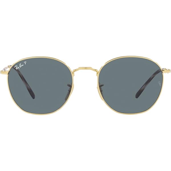 Amazon.com: Ray-Ban RB3582 David Round Sunglasses, Gold/Dark