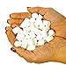 Muck Remover Pellets 5 lb (10 Scoops) | Pond Tablets Treat 1.25 Acres | Lake Muck Remover, Pond Sludge Reducer | Farm Pond Treatment