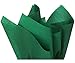 Holiday Green Tissue Paper for Gift Wrapping, Gift Packaging, Floral, Birthday, Christmas, Halloween, DIY Crafts and More | 15